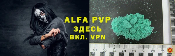 молекула духа Арсеньев