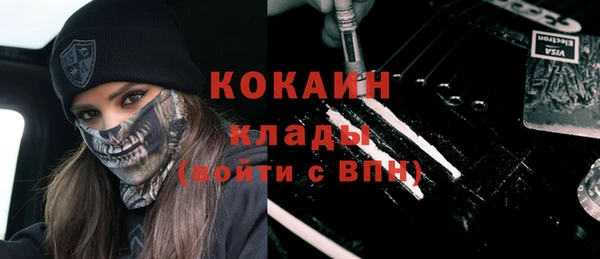 молекула духа Арсеньев