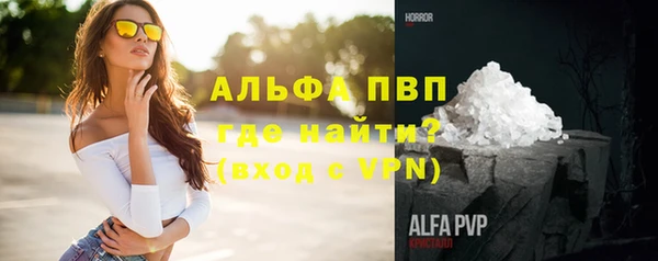молекула духа Арсеньев