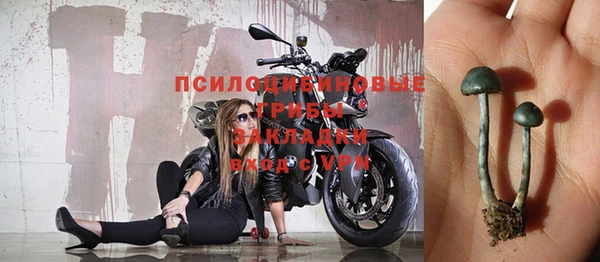 молекула духа Аркадак