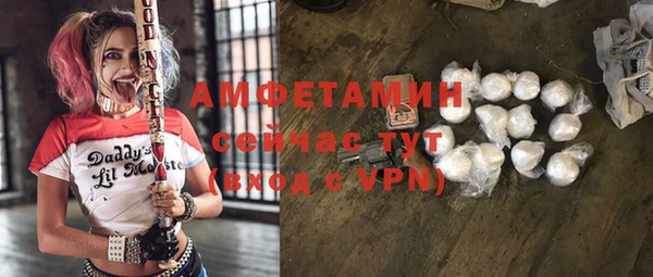 молекула духа Арсеньев