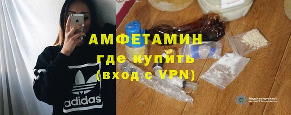 молекула духа Арсеньев