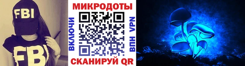 купить   Тимашёвск  Галлюциногенные грибы Cubensis 